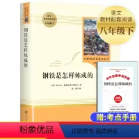 [人教版]钢铁是怎样炼成的(赠考点手册) [正版]钢铁是怎样炼成的初中原著 完整无删减人民教育出版社 人教版八年级下册文