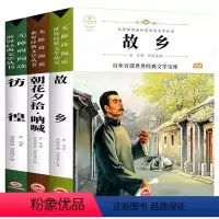 [全套3册]鲁迅书籍 [正版]故乡 鲁迅的书原著 六年级青少年适读书小学生鲁迅读本 小说全集经典课外阅读书籍散文集 朝花
