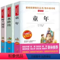 [正版]童年高尔基 水浒传 呼兰河传萧红著 全套3册 小学生课外阅读书籍 三四五六年级适读的课外书 青少年版儿童故事读