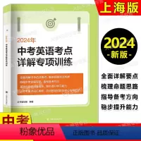 中考英语考点详解专项训练 九年级/初中三年级 [正版]2024年新版 中考英语考点详解专项训练 上海译文出版 中考英语考