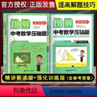 精讲解读+强化训练 2本套装 初中通用 [正版] 图解中考数学压轴题 精讲解读+强化训练版 含详细参考答案 中考