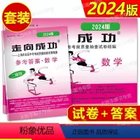 数学 [正版]2024年版走向成功 中考数学 二模卷 试卷 +答案 2024上海中考二模卷 数学答案 初三数学 中西书