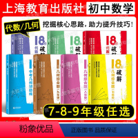 [2件套]几何+代数综合题 七年级/初中一年级 [正版]18招 破解几何综合题+代数综合题 七八九年级/789年级中考几