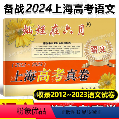 语文 上海 [正版]2024 灿烂在六月上海高考真卷 语文 2012-2023上海高考历年真题卷汇编 高一高二高三复习用