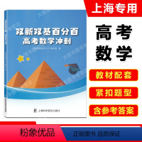 高考数学冲刺 上海 [正版]2024双新双基百分百 高考数学冲刺 高三数学百分百 含详解答案解析 上海双新双基高考数学复