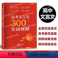 高考文言文300实词例释 全国通用 [正版]2023新印次高考文言文300实词例释 高中虚实词通假字 全国版 高考文言