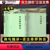 语法修辞例话+病句精讲 2本套装 初中通用 [正版]字斟句酌丛书 语法修辞例话+病句精讲 中考高考病句真题 现代汉语语法