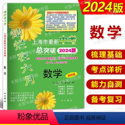 灿烂在六月 中考总突破 数学 上海 [正版]2024版灿烂在六月上海市中考总突破 数学 双色版 适2021年起始的上海7