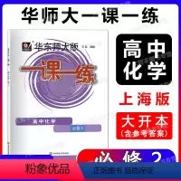化学 必修第二册 [正版]2022新版华东师大版一课一练 高中化学必修2 高一下册高1年级第二学期化学 华师大版一课