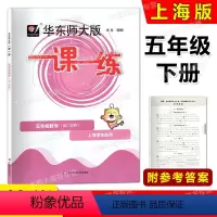 数学 五年级下 [正版]2023春华东师大版一课一练 数学 五年级第二学期/5年级下册华东师范大学出版社 上海版配套教辅