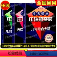 选择填空+坐标系内+几何综合大题(全3册) 初中通用 [正版]全3册新版中考数学压轴题突破 选择填空压轴小题+坐标系内的