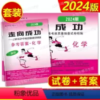 化学 [正版]2024年版 走向成功 上海市中考二模卷化学 试卷 +答案2024上海市各区县中考质量抽查试卷精编 化学