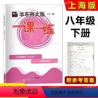 数学 八年级下 [正版]2023春华东师大版一课一练 数学 八年级第二学期/8年级下 上海版配套教辅课后作业 含答案 单