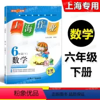 数学 小学六年级 [正版]全新修订版 钟书金牌 上海作业 数学 六年级第二学期/6年级下上海大学出版社上海版小学教辅课