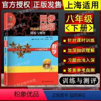 数学 [正版]初中四星级同步题组 训练与测评 数学 八年级第二学期/8年级下册上海科技教育出版社 上海版教辅课后练课后