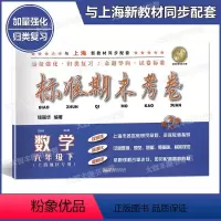 [正版]标准期末考卷 数学 六年级下册/6年级第二学期 第3版 上海预初六年级配套教辅 期中期末课后复习测试卷