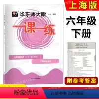 英语 六年级下 [正版]2023华东师大版 一课一练 英语N版 六年级第二学期/6年级下 上海版配套教辅课后作业 课后