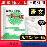 语文 九年级/初中三年级 [正版]2022新版 华师大版一课一练 语文 九年级 9年级 上下册第一学期第二学期 上海版