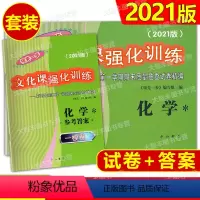 2021 高考一模卷 化学 试卷+答案 [正版]2021版领先一步文化课强化训练 上海市高考一模卷 化学 高三各区期末考