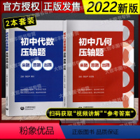 初中数学压轴题(代数+几何) [正版]初中代数+几何压轴题来路思路出路 初中数学同步训练题库中考压轴题高效专项训练解题技