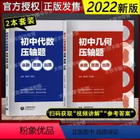 初中数学压轴题(代数+几何) [正版]初中代数+几何压轴题来路思路出路 初中数学同步训练题库中考压轴题高效专项训练解题技