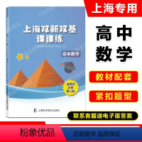 数学 选择性必修第二册 [正版]上海双新双基课课练 高中数学 选择性必修2 第二册 高三年级第一学期 高3上册 上海版新