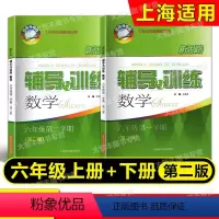 六年级数学下册 六年级 [正版]2022版 新思路辅导与训练 数学 六年级第一二学期/6年级上下册 全2册 第二版 上海