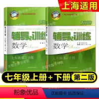 七年级数学下册 七年级/初中一年级 [正版]2022版 新思路辅导与训练 数学 七年级第一二学期/7年级上下册 全2册