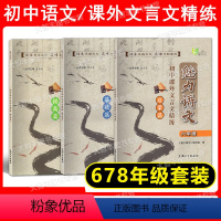 课外文言文精练 678年级[全3册] 初中通用 [正版]任选 魅力语文 初中课外文言文精练 启蒙篇+基础篇+提高篇 六七