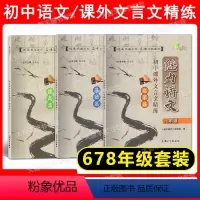 课外文言文精练 678年级[全3册] 初中通用 [正版]任选 魅力语文 初中课外文言文精练 启蒙篇+基础篇+提高篇 六七