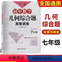 数学几何综合题 7年级 初中通用 [正版]周计划初中数学几何综合题高效训练七年级7年级上下册含详解答案 初一数学专题几何