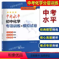 化学 九年级/初中三年级 [正版]中考化学分层训练 中考水平初中化学专项训练与模拟试卷 上海版配套 经典题型精练核心真题
