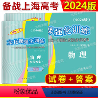 2024高考一模 物理 试卷+答案 [正版]2024年版领先一步 物理 上海高考物理一模卷 试卷 参考答案 文化课强化训