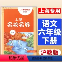 2024春上海名校名卷 语文 六年级第二学期/6年级下 上海版初中单元模拟卷 华东师范大学出版社 含参考答案 [正版]2