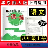 语文 八年级/初中二年级 [正版]2022新版华东师大版一课一练 语文 八年级上册 8年级第1学期 五四学制语文全新编写