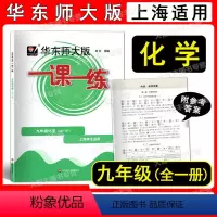 2022华师大一课一练 9年级 化学 九年级/初中三年级 [正版]2022华东师大版 一课一练 化学 九年级/9年级全一