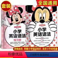小学英语语法+练习册 2本套装 小学通用 [正版]任选 迪士尼小学英语语法+练习册 全套2册 小学英语英语语法讲练结合全