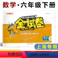6年级下 数学 [正版]钟书金牌 金试卷 数学 六年级第二学期/6年级下 满分训练与测试 上海大学出版社 上海数学配套