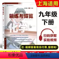 化学 九年级下 [正版]精练与博览 化学 九年级第二学期/9年级下 上海教育出版社 配套上海新版化学 课后作业课后练习