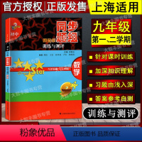 [正版]初中四星级同步题组训练与测评 数学 九年级/9年级第一、二学期 科教版教辅 上海科技教育出版社 上海版教辅课后