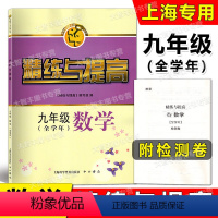 [正版]智慧学习步步高丛书 精练与提高 数学 九年级/9年级(全学年)上下册含检测卷 中西书局 含答案 上海版配套教辅