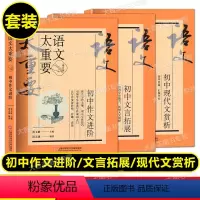 语文太重要 初中(全3册) 初中通用 [正版]2023新版语文太重要 初中文言拓展+初中现代文赏析+初中作文进阶 修订版