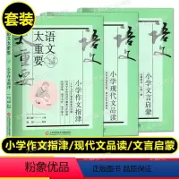 语文太重要 小学(全3册) 小学通用 [正版]2023新版语文太重要 小学文言启蒙+现代文品读+作文指津 修订版 全套3