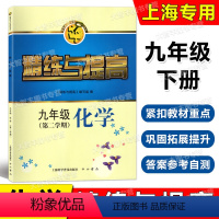 [正版]智慧学习步步高丛书 精练与提高 化学九年级第二学期/9年级下 上海科学普及出版社 上海版配套教辅练习