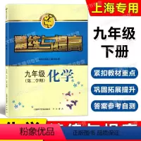[正版]智慧学习步步高丛书 精练与提高 化学九年级第二学期/9年级下 上海科学普及出版社 上海版配套教辅练习