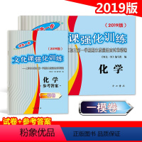 [正版]2019版领先一步文化课强化训练初三期末测试卷精编上海中考一模卷化学 试卷+答案 中考一模卷 化学 上海中考一