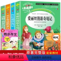 [正版]全4册六年级应读书籍下册鲁滨逊漂流记尼尔斯骑鹅旅行记汤姆索亚历险记爱丽丝漫游奇境世界名著小学生课外阅读书籍语文