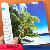 [正版]植物大全植物百科全书带注音 6-9-10-12岁儿童科普绘本故事书关于植物的书认识花卉水果植物大世界小学生一二