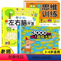 [正版]全套3册3-4岁儿童全脑开发图画书 幼儿左右脑智力开发数学思维训练早教逻辑推理书籍幼儿园益智启蒙观察力专注力启
