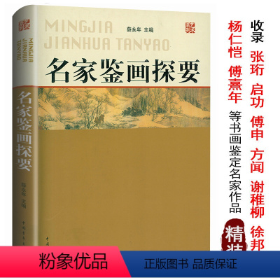 [正版]名家鉴画探要 薛永年中国古书画鉴定论著与研究概论全编傅申张珩谢稚柳徐邦达启功刘九庵杨仁恺名家讲怎样鉴赏与艺术史